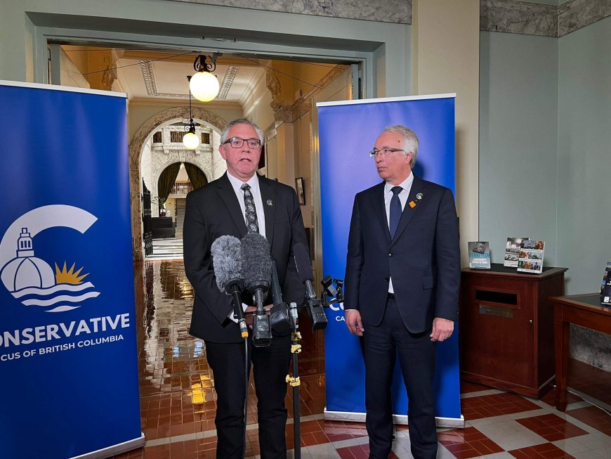 BC Conservatives interim leader says the party is ready for a snap election