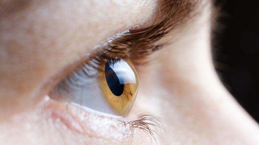 Popular weight-loss drugs face numerous lawsuits over rare ‘eye stroke’ linked to vision loss