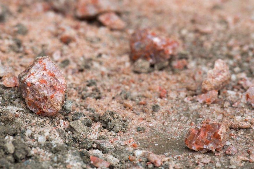 Trump says U.S. to continue buying Canadian potash — but wants cheaper price