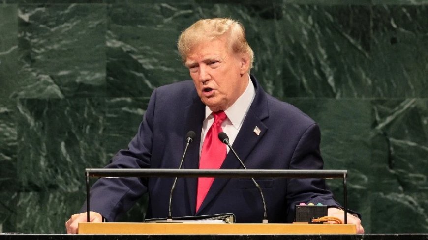 Trump Calls Out Canada For Replacement Migration Invasion