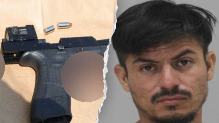 Illegal alien allegedly grabs school police officer's gun, shoots him in femoral artery: DOJ