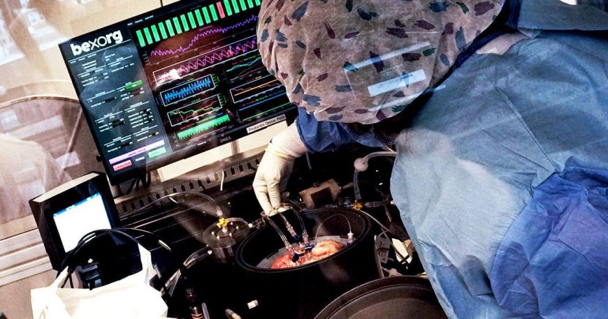 Scientists Unveil ‘Biological Data Center’ Powered by Lab-Grown Human Brain Cells