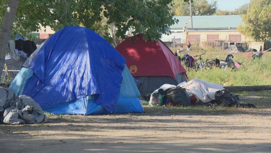 ‘Aggressive protestors’ force Saskatoon to halt encampment clean-up, city says