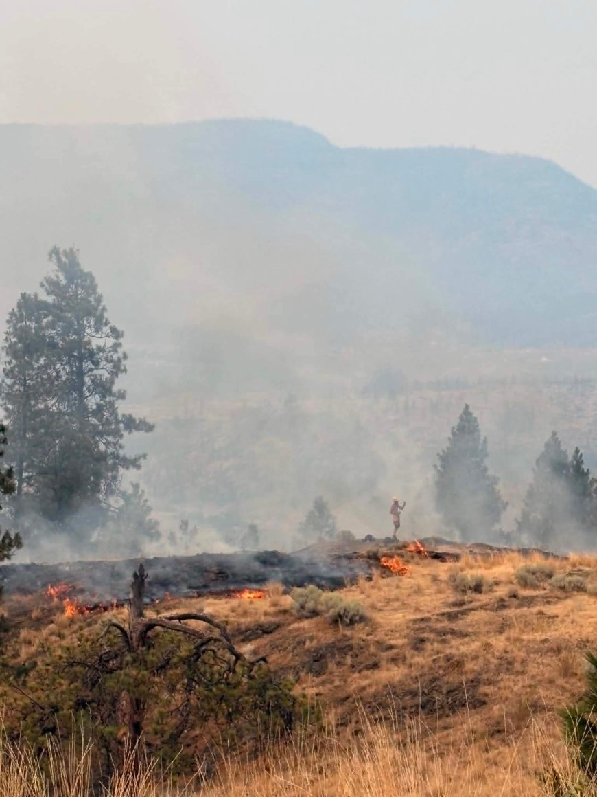 Okanagan communities plan prescribed burns to reduce wildfire risk