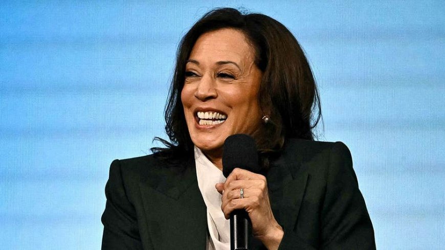 Ex-Dem insider blows lid off fundraising 'gimmicks' during 2024 election: 'Pyramid scheme'