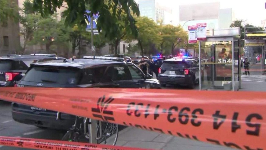 ‘Terrible tragedy’: Federal leaders condemn killing of Montreal woman on Zoom call