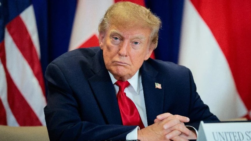 Socialism Is More Popular Than Donald Trump, According To Polls