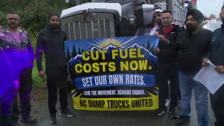 B.C. truck drivers protest high diesel prices: ‘We work for free right now’