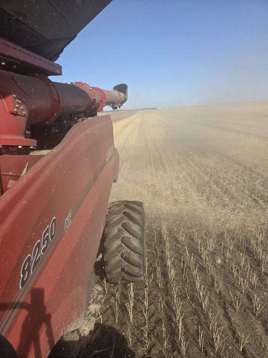 Saskatchewan harvest faces higher costs and delays