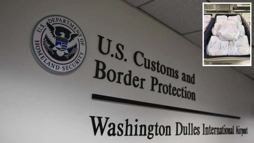 Man Busted Smuggling 65 Pounds of Khat Through DC Airport