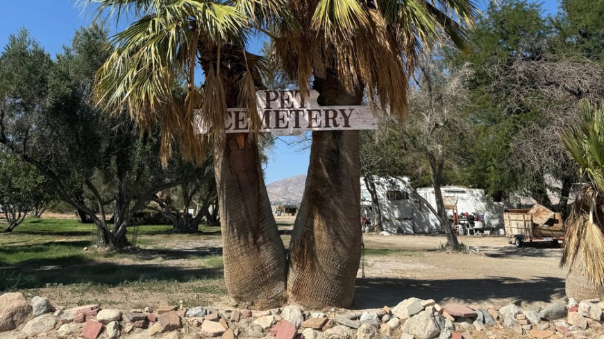 Hidden California desert pet cemetery holds unexpected piece of White House history