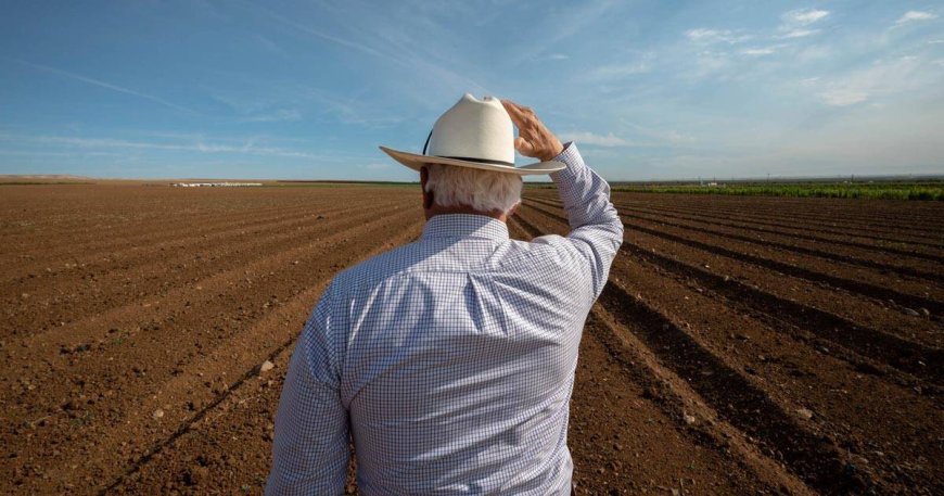 Experts Sound Alarm as ‘Perfect Storm’ Threatens Historic Global Food Crisis