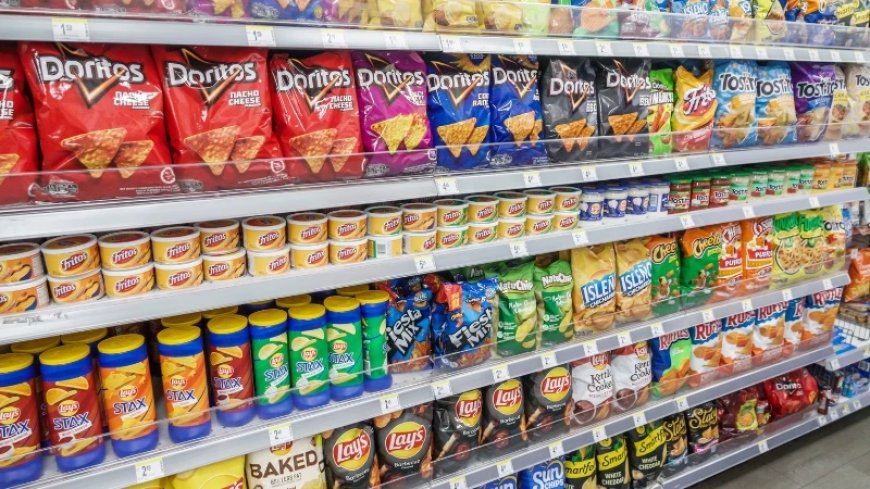 Fix One, Fix All: A Change of Diet Can Do More Than Just Change Your Mood