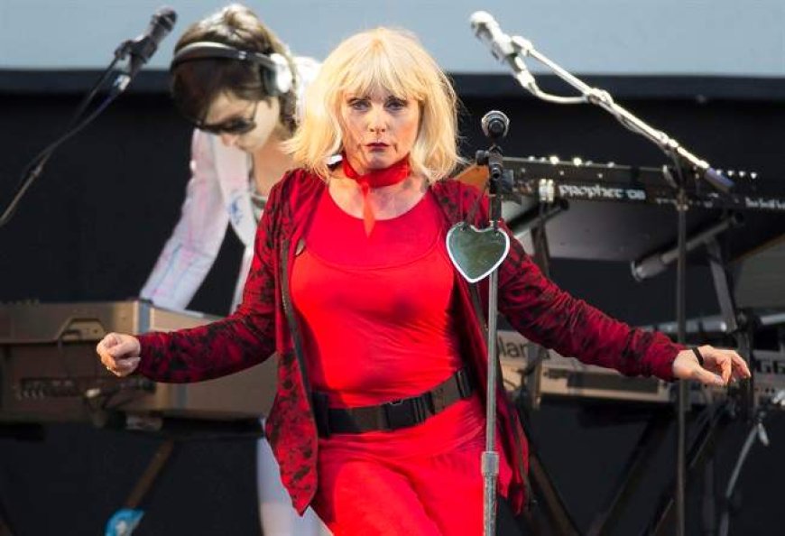 A new book sheds light on the birth of punk in New York City fifty years ago