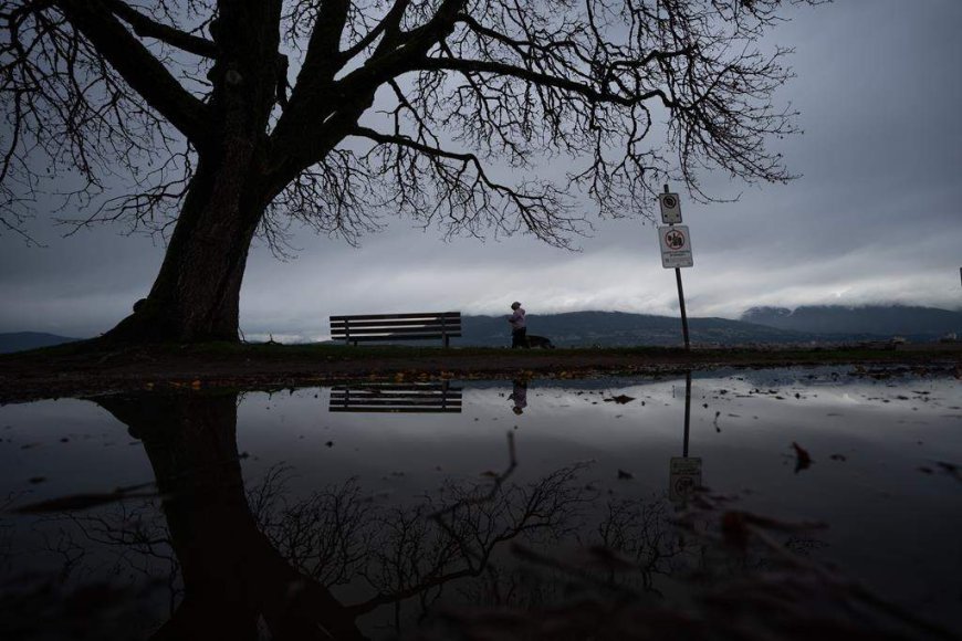 Rainfall warning issued for parts of B.C. as ‘robust’ storm moves in