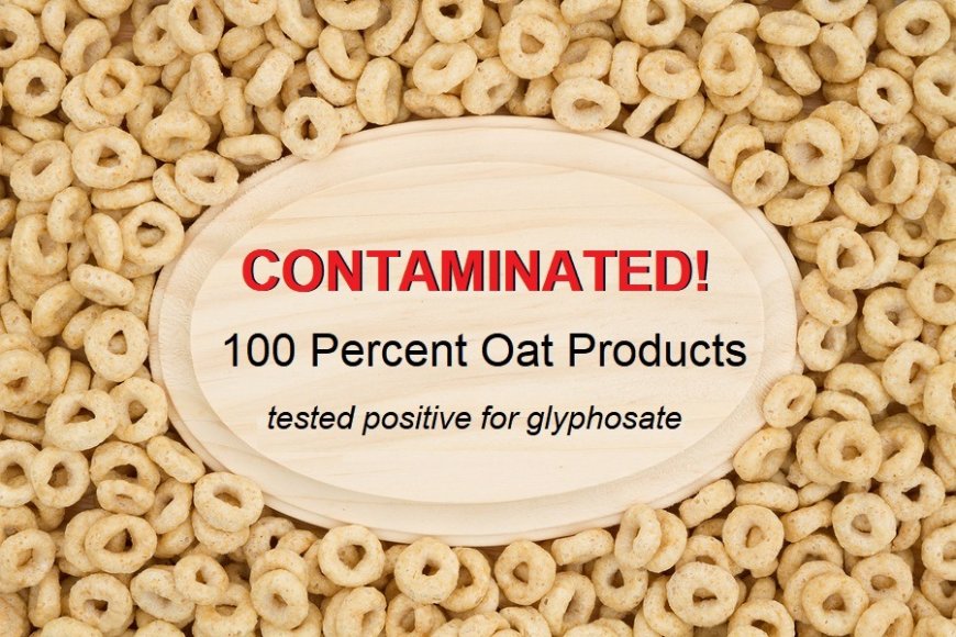 Big Food has Taken Over the USDA National Organic Program – Why I am no Longer Importing Certified Organic Food