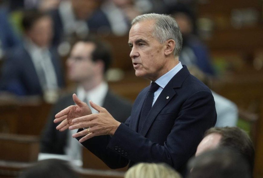 Immigration increase could be on the horizon, Carney suggests in interview