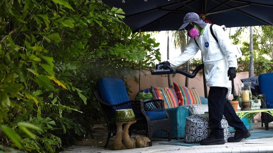 Dengue fever outbreak triggers states of emergency in 3 southern counties