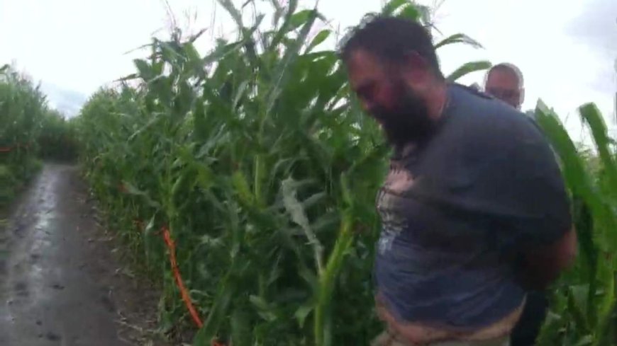 ‘Doing God’s will’: Accused in Edmonton Corn Maze stabbing claims victim was a Nazi