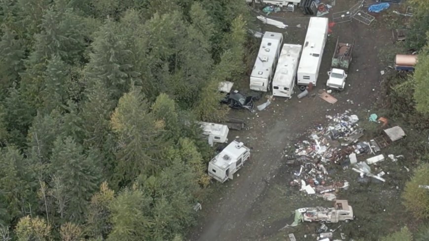 Nanaimo encampment in place for 20 years should be cleaned up, neighbours say
