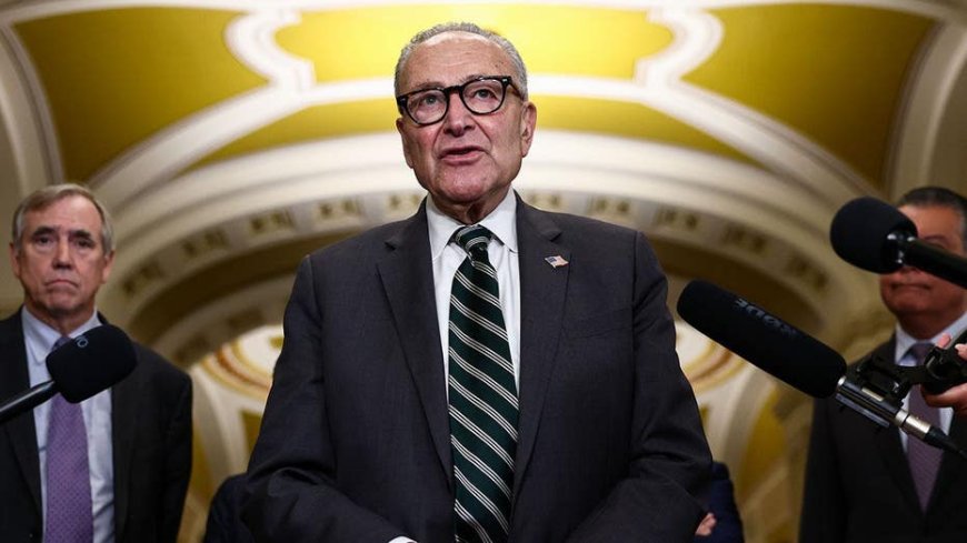 Schumer preaches affordability in Dem midterm pitch while sabotaging GOP fixes for soaring costs