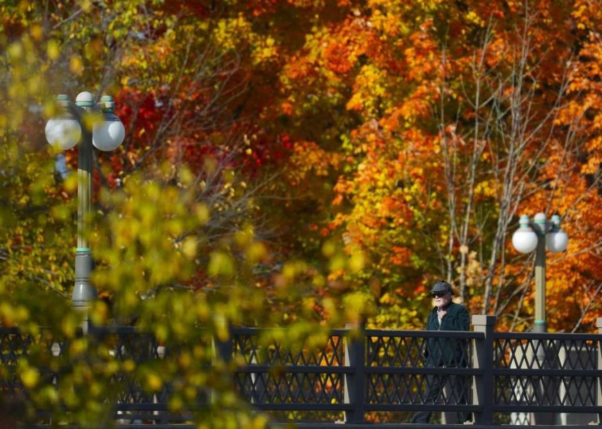 The ‘Super El Nino’ is upon us. What does that mean for Ontario’s fall colours?