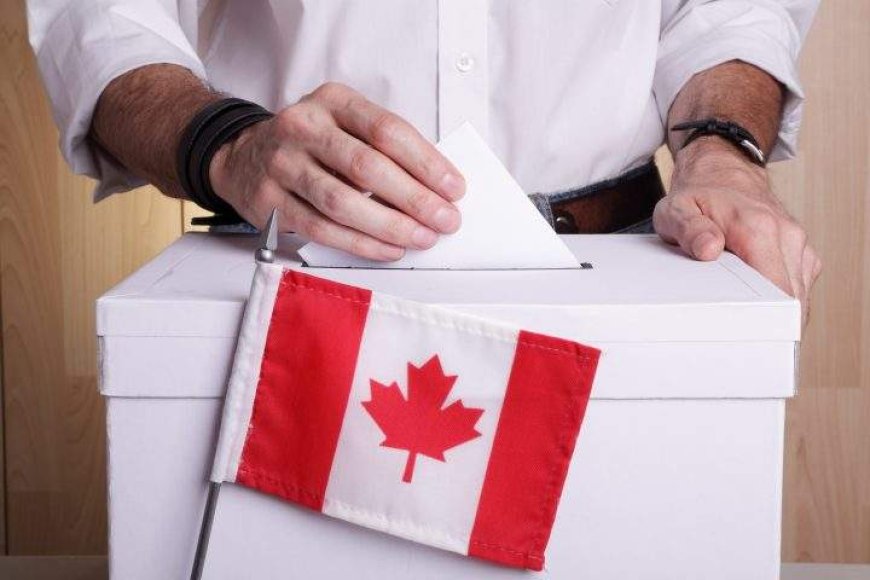 Young Canadians less hopeful about future of democracy: Statistics Canada