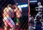 Human vs humanoid robot cage fight goes viral