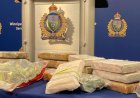 Winnipeg drug bust yields $1.5M worth of cocaine: police