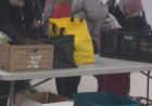 1 in 3 food banks, shelters forced to turn away people due to demand: survey