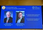 Nobel prize awarded to 2 economists for their work on how to manage shocks