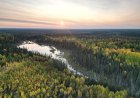 Swath of Ontario boreal forest larger than Toronto to be protected from development