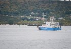 Drones sink ship in Black Sea, unclear who launched strike, Bulgaria says
