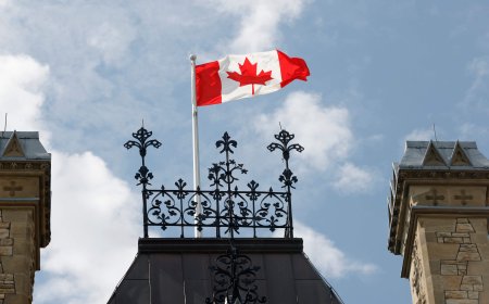 An AI agent tried to hack Canadian government website, researchers say