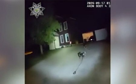 Loyal dog fetches police to help owner who fell at Kansas home