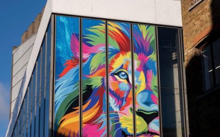 Director of new ‘Narnia’ movie takes heat over casting of Meryl Streep as Christ-like lion Aslan