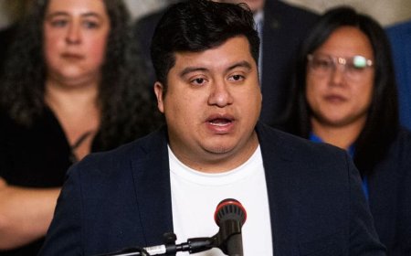 Minneapolis Democrat Claims Driverless Cars Are ‘Murdering’ Pets: ‘Hide Your Cats!’