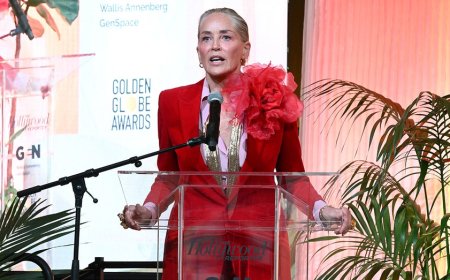 Sharon Stone exclaims if men got pregnant you could get 'an abortion from a vending machine'