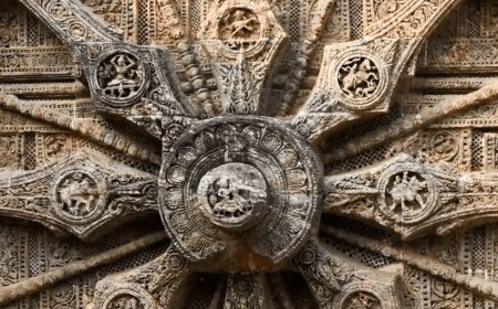 Reincarnation and the Near Death Experience