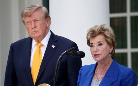 Trump education official says school choice program will put pressure on Dem-led states
