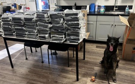 California K-9 Otis helps police seize 440 pounds of cocaine during Alhambra traffic stop