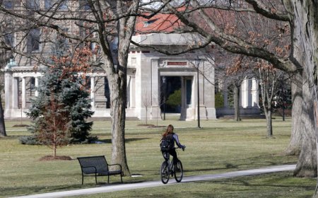 More Gen Z college freshmen are quitting school early and moving back home with mom and dad