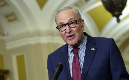 Dems hand GOP fresh midterm weapon by opposing widely used voter ID