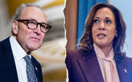 WATCH: Dem senators dodge backing Kamala Harris in potential 2028 run: ‘Very messy’