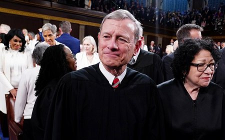 JONATHAN TURLEY: Supreme Court protesters target Chief Justice Roberts’ vacation home