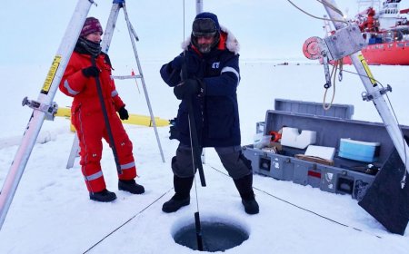 Scientists Discover Evidence of ‘Life-Giving’ Supercontinent Beneath Antarctica