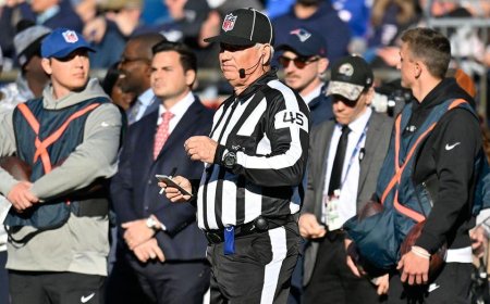 NFL reviewing incident after line judge Jeff Seeman appeared to hurl profanity at Cardinals' Trey McBride