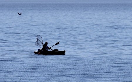 Shark bites fisherman twice during kayaking encounter along California beach