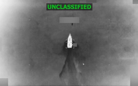 Dramatic footage shows alleged narco boat erupt in fireball during US military strike