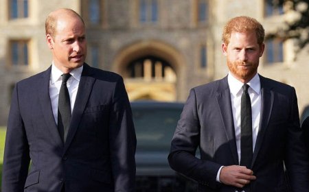 Prince William ‘incandescent with anger’ at Prince Harry as Diana anniversary deepens royal rift: Piers Morgan
